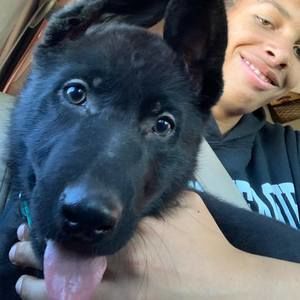 Meet your Posher, Benjamin